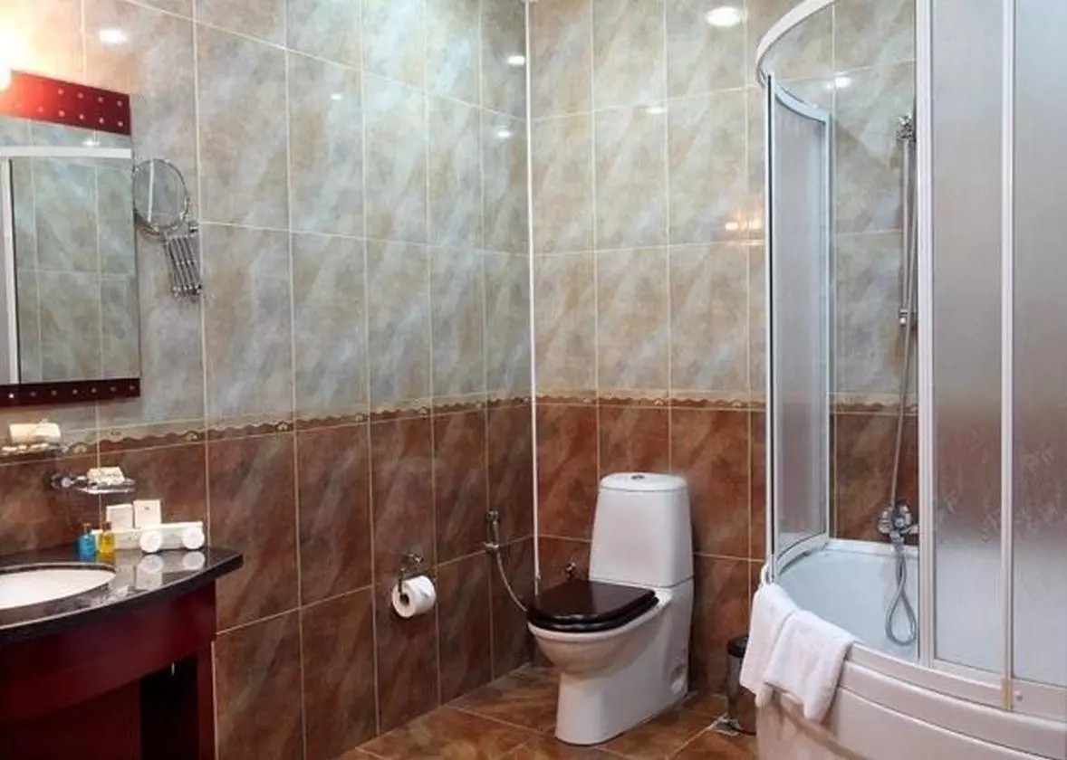 AMBASSADOR_SHABAVIZ (2).jpg